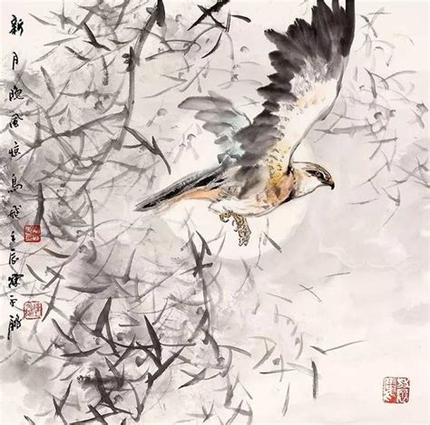 國畫鳥的畫法|國畫禽鳥基本畫法，舉一反三畫鳥難不倒！